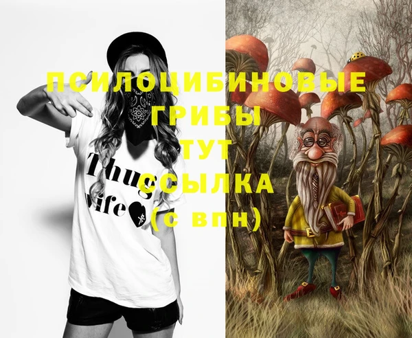 скорость Медвежьегорск