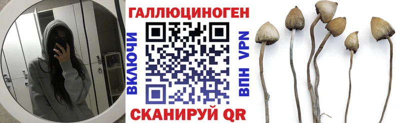 Галлюциногенные грибы прущие грибы  Питкяранта 