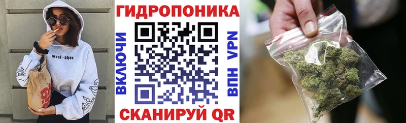Конопля White Widow  кракен сайт  Питкяранта 